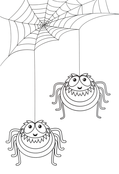 pauk crtez
