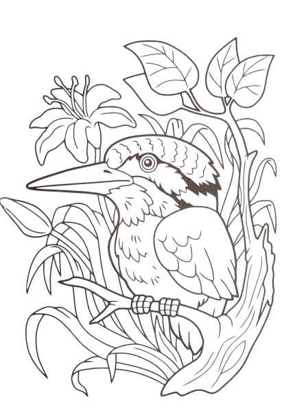 bird4