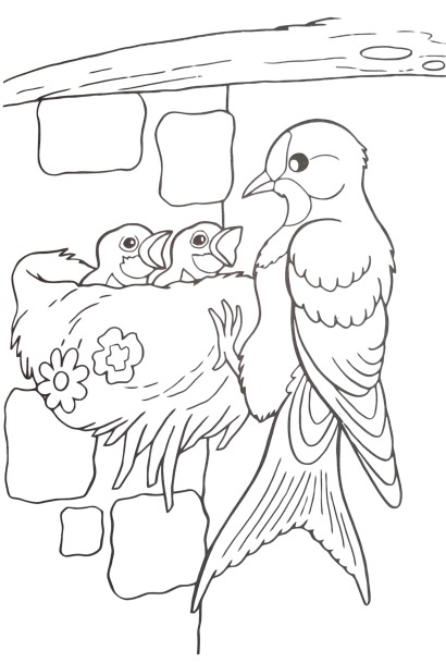 the bird feeds the little birds coloring worksheet
