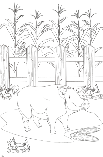 pig printable sheet