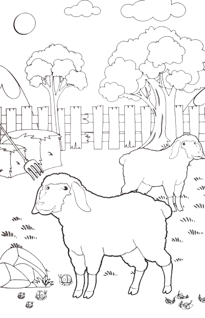 2 sheeps on the farm printable coloring page