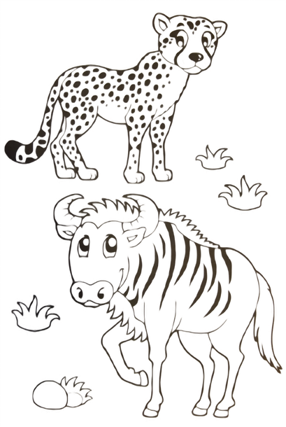 leopard and bison coloring sheet